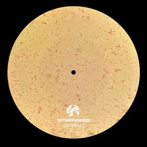 Veleno Per La Mente II (Audio Resistance Remix|SYEP039)