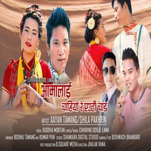 Aama Lai Chahiyore Eauti Chang