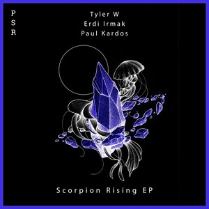 Scorpion Rising (Erdi Irmak Remix)