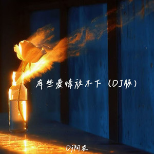 有些爱情放不下 (DJ版)