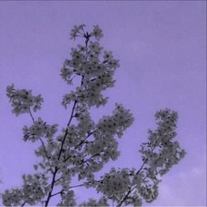 Late At Night(feat. Timmy Love)