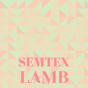 Semtex Lamb