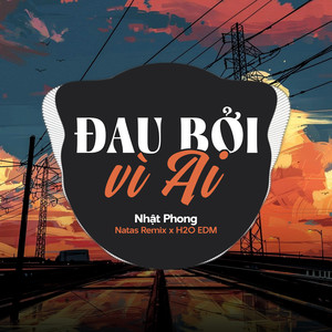 Đau Bởi Vì Ai (EDM)