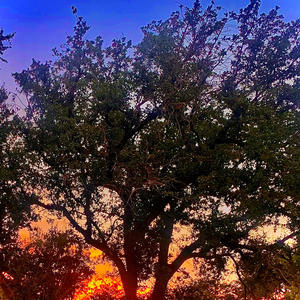 Never Look Away (Different) (feat. GHOSTLING) (Explicit)