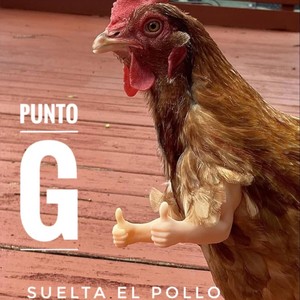 Suelta el Pollo (En Vivo)