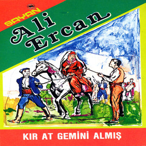 Kır At Gemini Almış