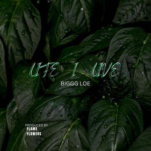 Life I Live (Explicit)