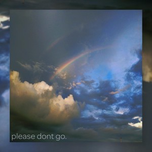 Please Dont Go