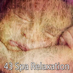 43 Spa Relaxation