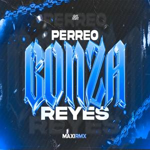 PERREO GONZA REYES