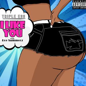 I Like You(feat. Roe Summerz) (Explicit)