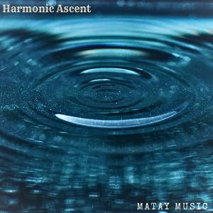 Harmonic Ascent (feat. MgoldMusic, Sensory Meditation & Flame Timo)