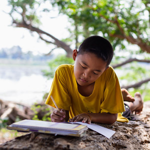 White Noise Study's Friend