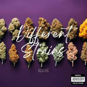 Different Strains (Explicit)