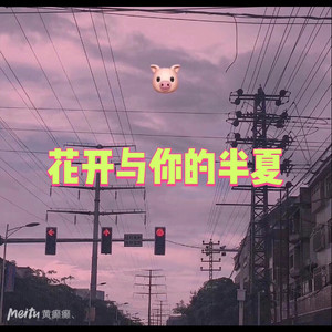 归来去兮