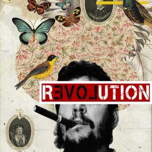 The Revolution (edit)