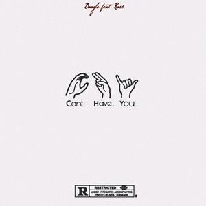 Cant Have You (feat. Rosé) (Radio Edit)