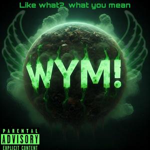 Wym! (feat. PopDaG & Otw_sean3x) (Explicit)