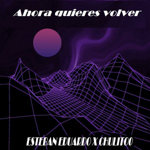 Ahora Quieres Volver