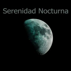 Serenidad Nocturna
