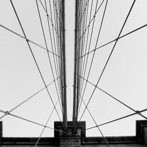 红枣树 (心跳版)