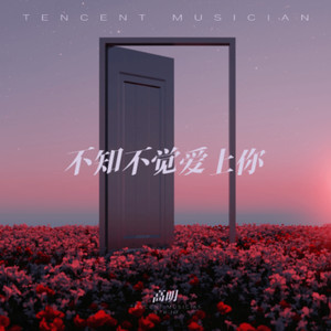 不知不觉爱上你