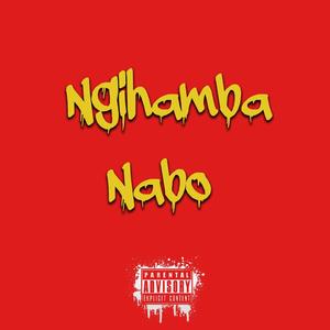 Ngihamba nabo (feat. Nomsa, Elshmoke & Villa)