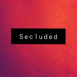 Secluded(feat. Breana Marin) (Explicit)