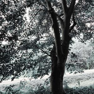 Damned (feat. HeyLee Manzeron) (Explicit)