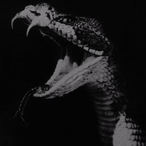 A View To A Kill (Explicit)