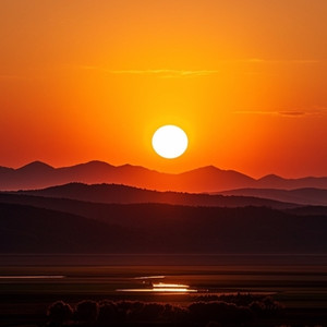 模糊了前路的轮廓 (Live)