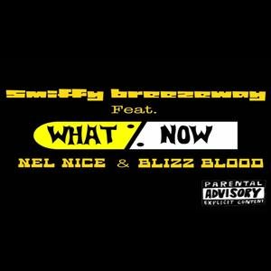 What now (feat. Nel nice & Blizz blood) [Explicit]