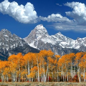 在风里在雨里在心里