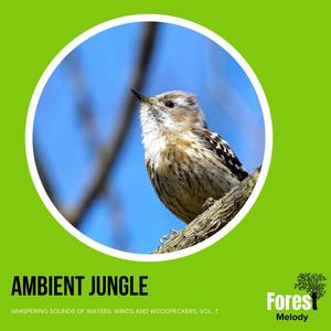 Ambient Jungle - Whispering Sounds of Waters, Winds and Woodpeckers, Vol. 7