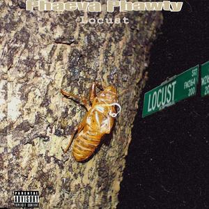 Locust (Explicit)