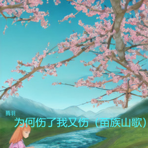 为何伤了我又伤 (伴奏)