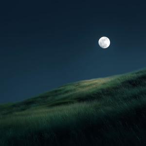 thinking of tomorrow