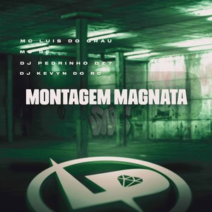 Montagem Magnata