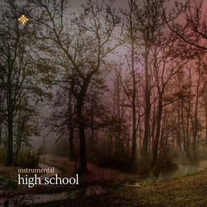 high school (no/vox’s version)