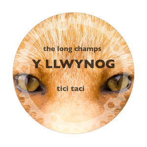 The Long Champs - Y Llwynog (Rich Lane remix)