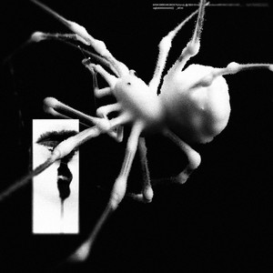 it's bright at 4am (Explicit)