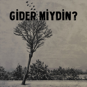 Gider Miydin?