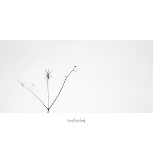 Confusion (feat. Green MGNT)