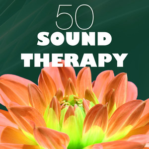 50 Sound Therapy - Reiki Healing Light, Sounds of Nature Ambience for Sweet Repose