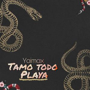 Tamo Todo Playa
