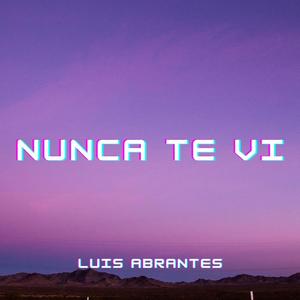 Nunca te vi