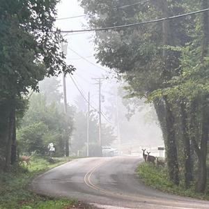 sweaty, sweaty (feat. Tismo) (Explicit)