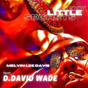 Sexy Little Secrets (feat. D. David Wade) (Explicit)