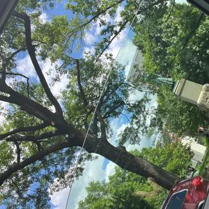 ball is lyfe 2 (metalhrt stillin) (Explicit)