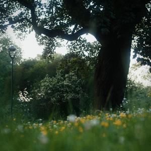 For Sent (feat. Ugrei)